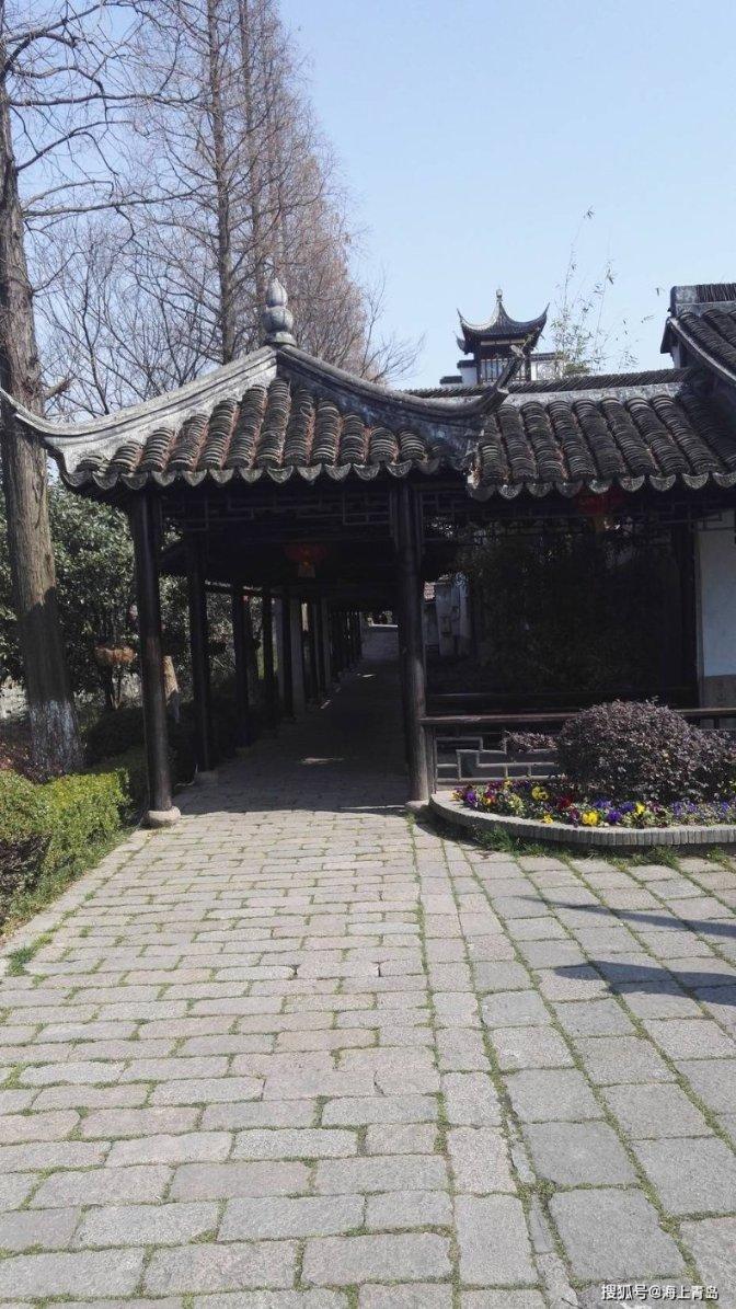 TVB刚新婚小花红到内地！直言如今冲事业比生子重要